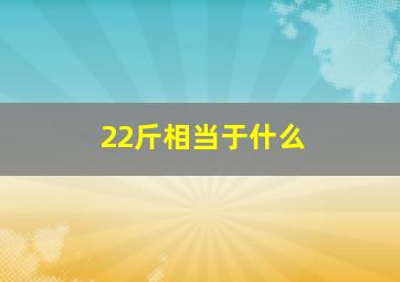 22斤相当于什么