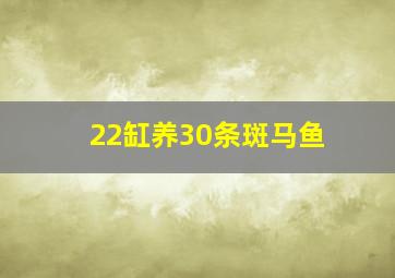 22缸养30条斑马鱼