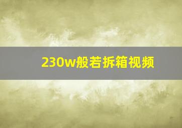 230w般若拆箱视频