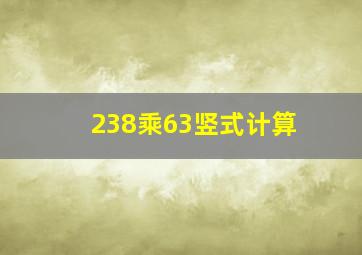 238乘63竖式计算