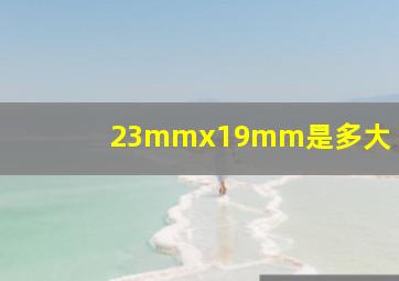 23mmx19mm是多大