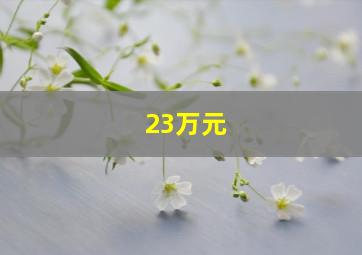 23万元