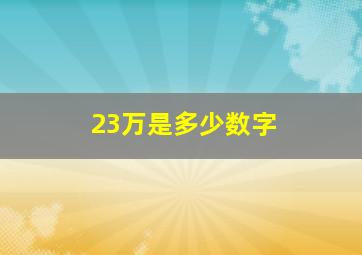 23万是多少数字