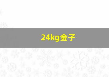 24kg金子