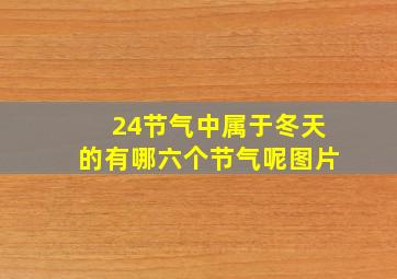 24节气中属于冬天的有哪六个节气呢图片