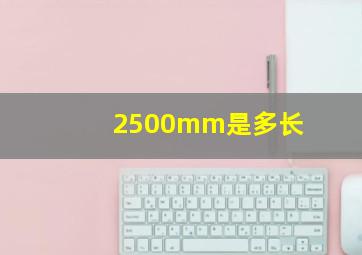 2500mm是多长