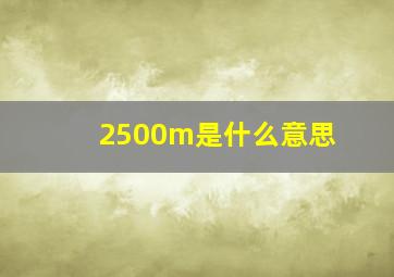 2500m是什么意思