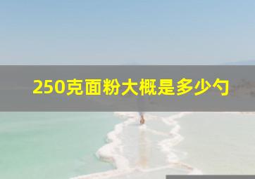 250克面粉大概是多少勺