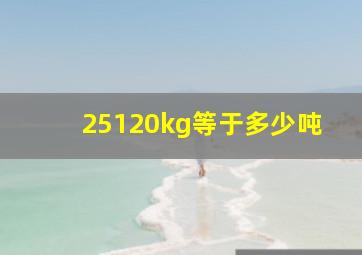 25120kg等于多少吨