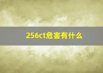 256ct危害有什么