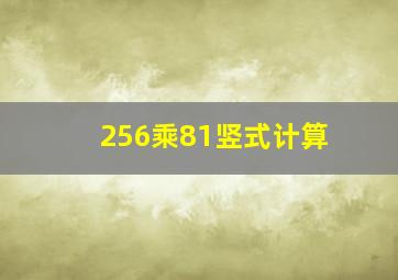 256乘81竖式计算