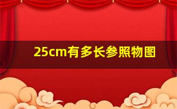 25cm有多长参照物图