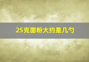 25克面粉大约是几勺