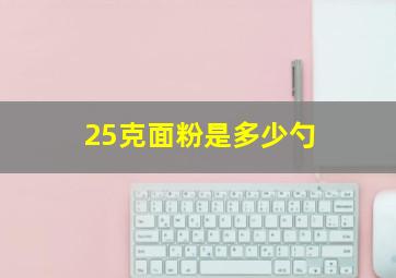 25克面粉是多少勺