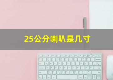 25公分喇叭是几寸