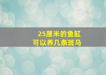 25厘米的鱼缸可以养几条斑马