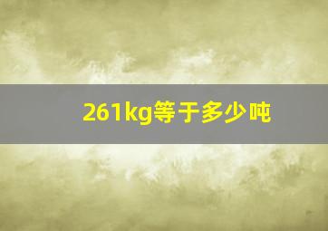 261kg等于多少吨