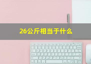 26公斤相当于什么