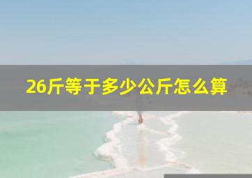 26斤等于多少公斤怎么算