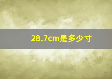 28.7cm是多少寸