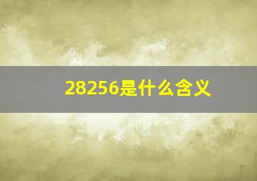 28256是什么含义