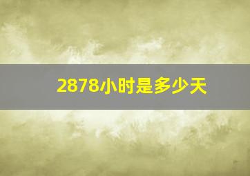 2878小时是多少天