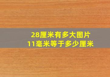 28厘米有多大图片11毫米等于多少厘米