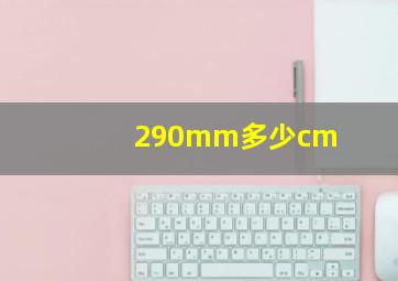 290mm多少cm