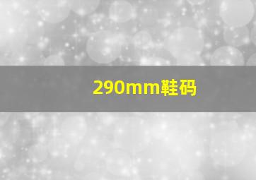 290mm鞋码