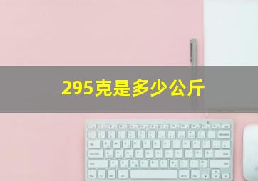 295克是多少公斤