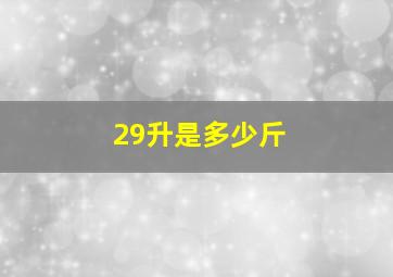 29升是多少斤