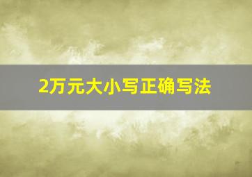 2万元大小写正确写法