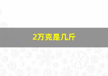 2万克是几斤