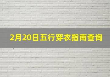 2月20日五行穿衣指南查询