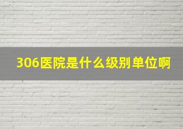 306医院是什么级别单位啊