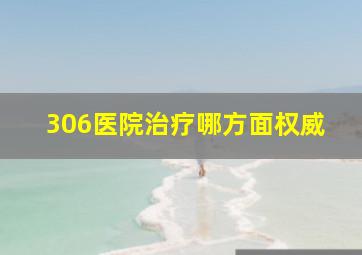 306医院治疗哪方面权威