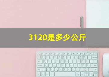 3120是多少公斤