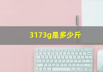 3173g是多少斤