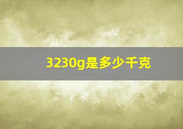 3230g是多少千克