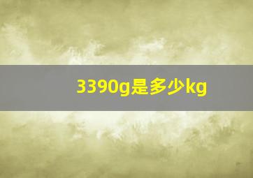 3390g是多少kg