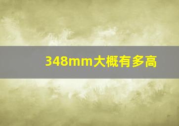 348mm大概有多高