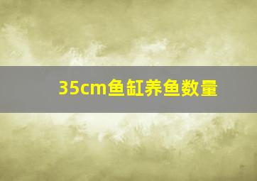 35cm鱼缸养鱼数量