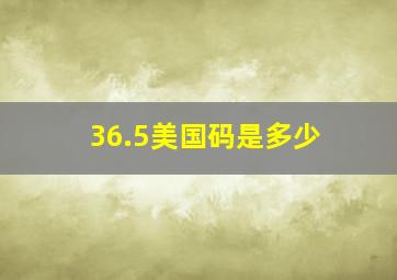 36.5美国码是多少