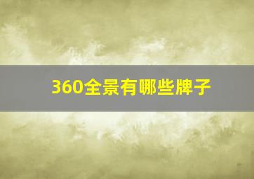 360全景有哪些牌子