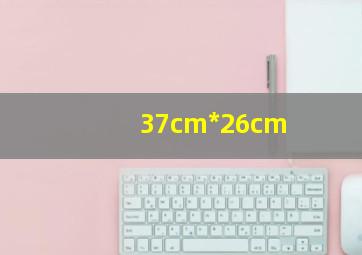 37cm*26cm