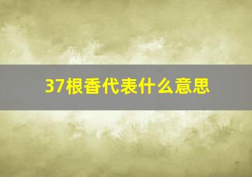 37根香代表什么意思