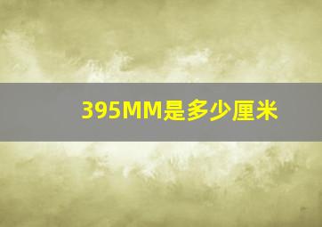 395MM是多少厘米