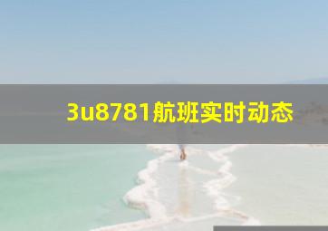 3u8781航班实时动态