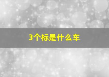 3个标是什么车