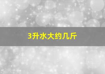 3升水大约几斤